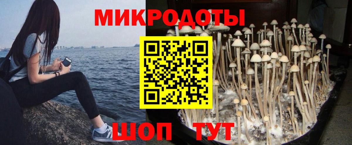 Галлюциногенные грибы MAGIC MUSHROOMS Корсаков