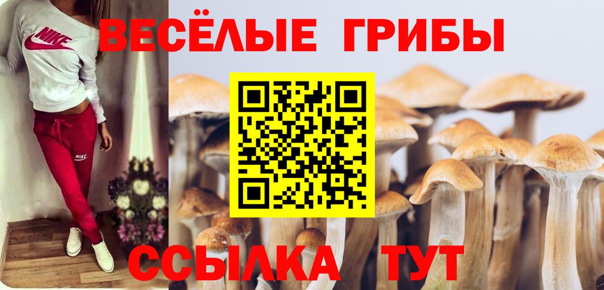 Корсаков  магазин продажи наркотиков  Вход с VPN  Галлюциногенные грибы ЛСД 